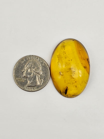 Real amber with insect inclusion