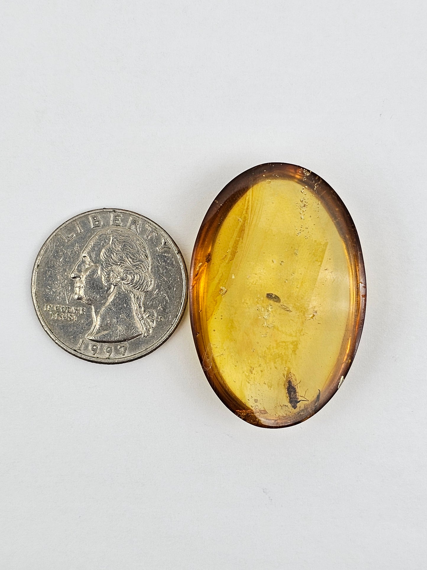 Real amber with insect inclusion