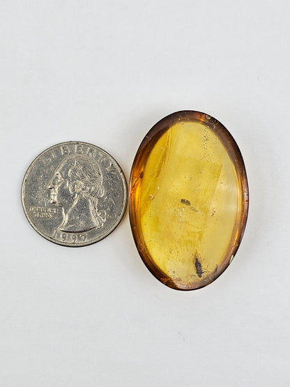 Real amber with insect inclusion