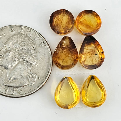 Amber authentic cabochon pair lot