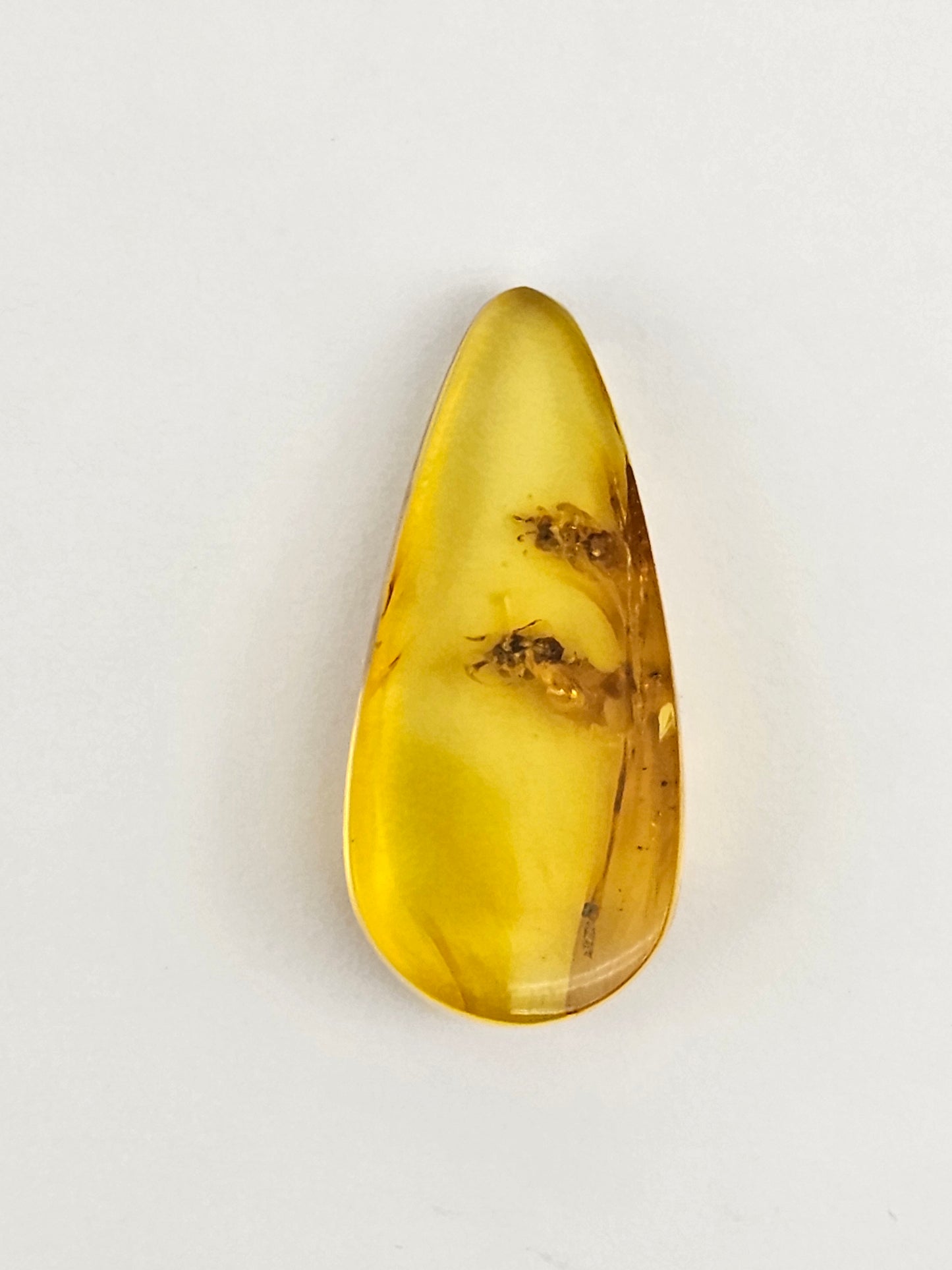 Real amber with insect inclusion