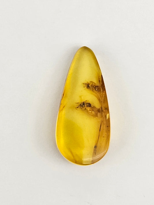 Real amber with insect inclusion