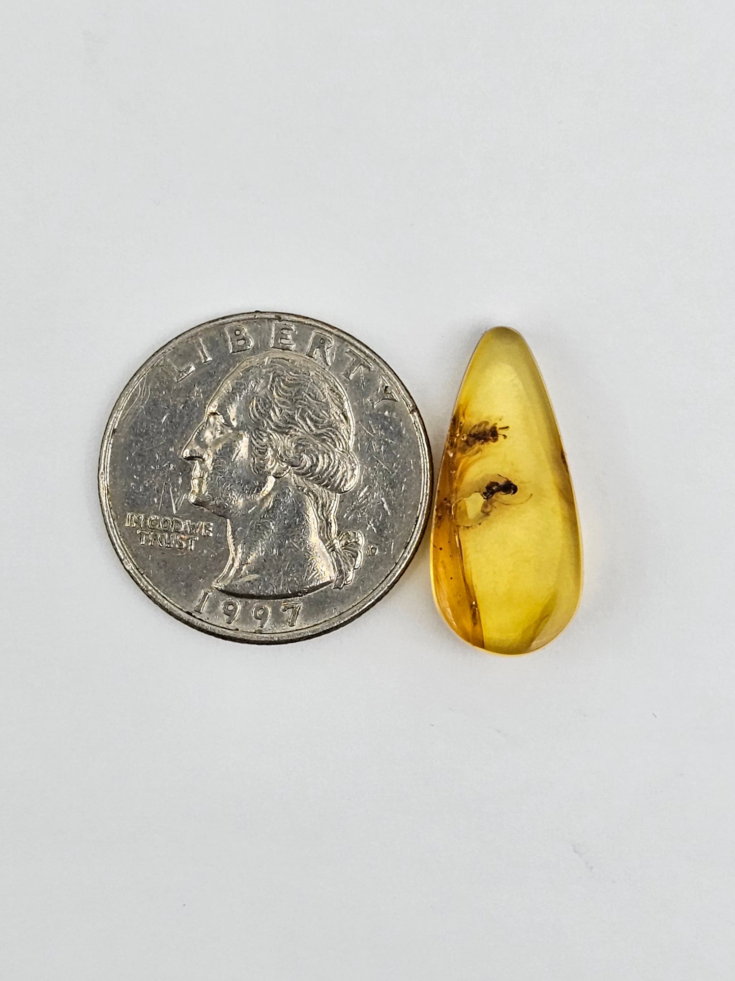 Real amber with insect inclusion