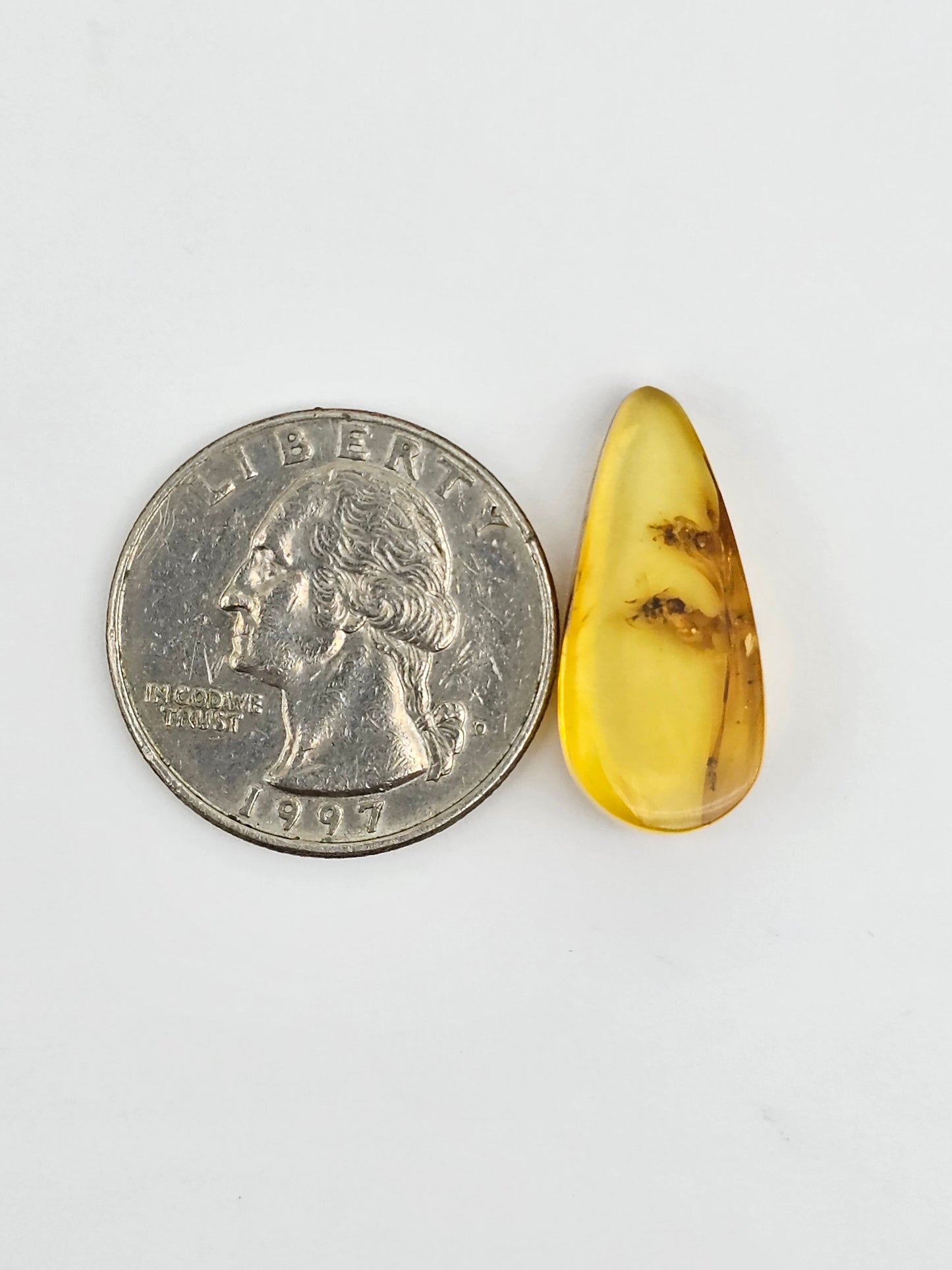 Real amber with insect inclusion