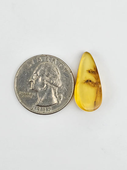 Real amber with insect inclusion