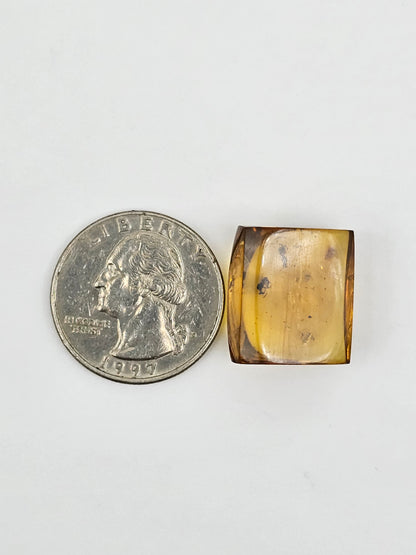 Real amber with insect inclusion