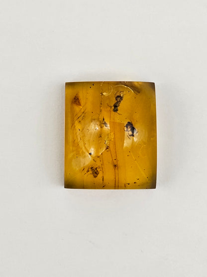 Real amber with insect inclusion