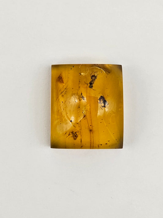 Real amber with insect inclusion