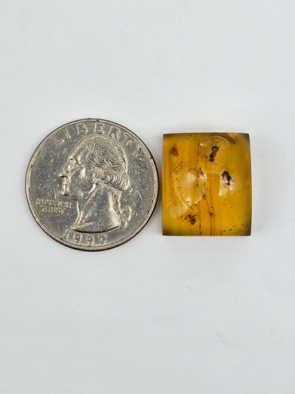 Real amber with insect inclusion