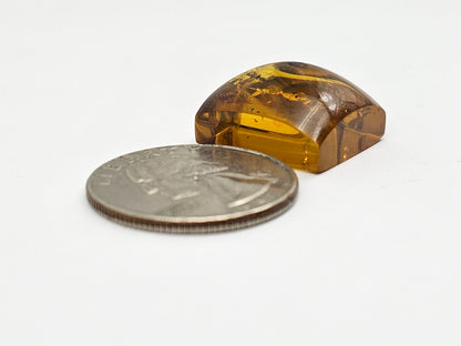 Real amber with insect inclusion