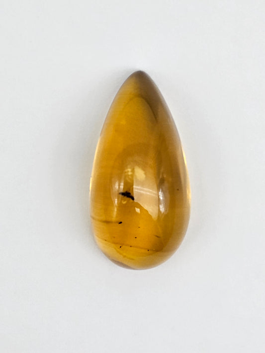 Real amber with insect inclusion