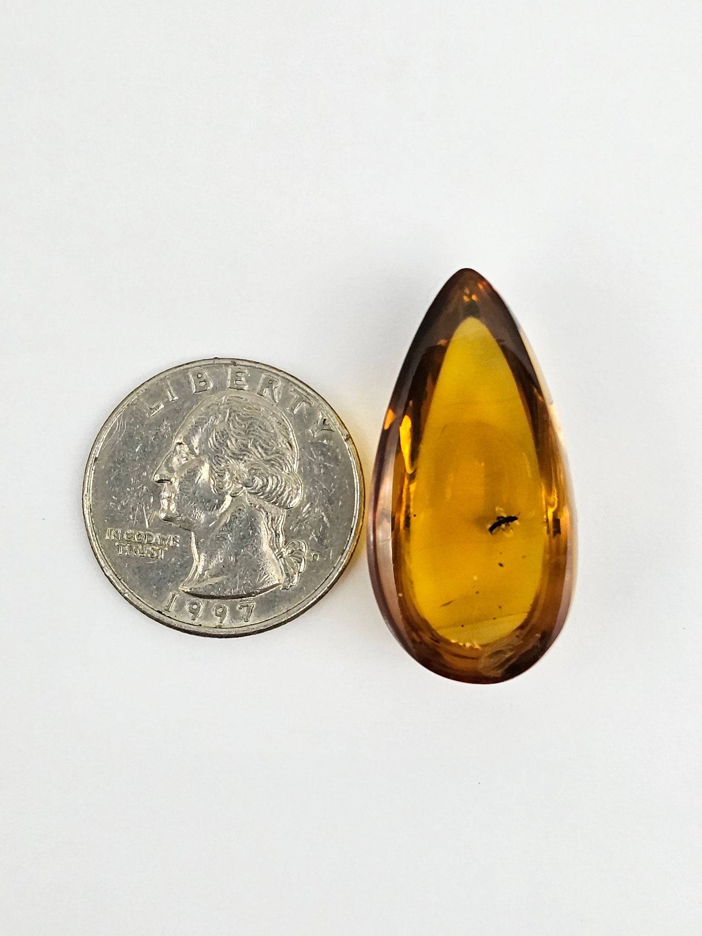 Real amber with insect inclusion