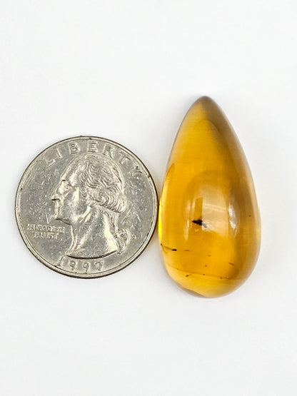 Real amber with insect inclusion