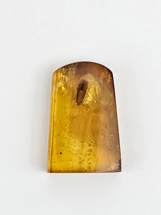 Real amber with insect inclusion