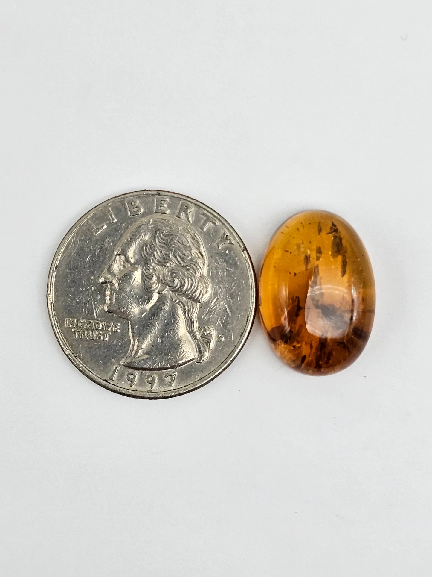 Real amber with insect inclusion