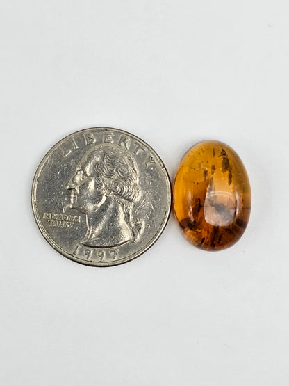Real amber with insect inclusion