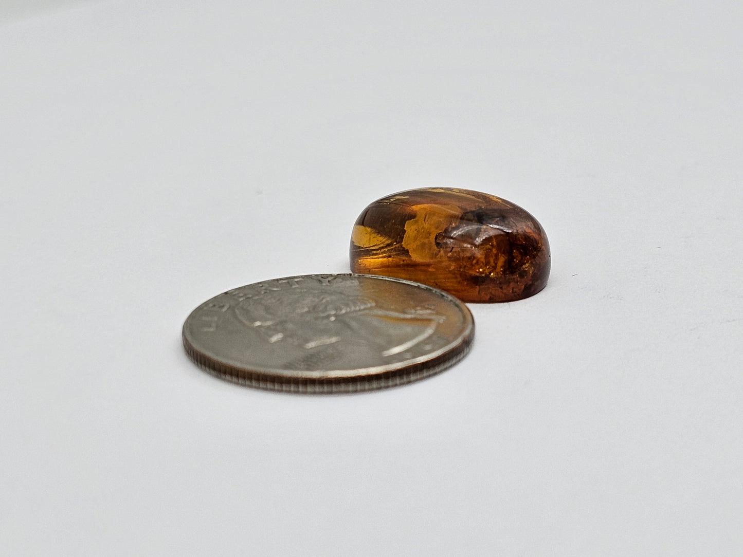 Real amber with insect inclusion