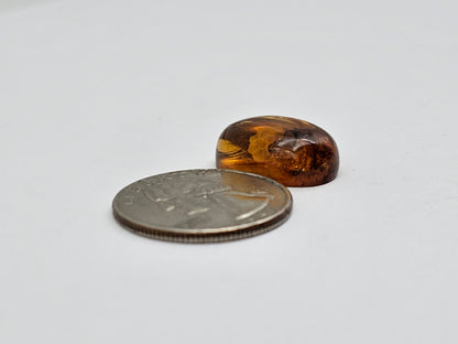 Real amber with insect inclusion
