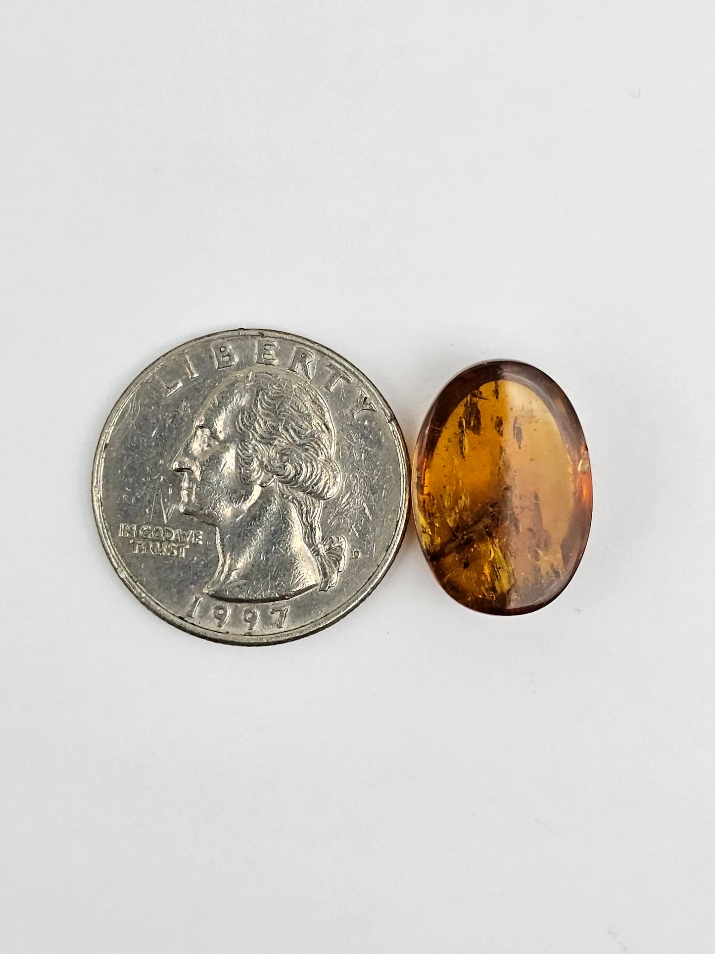 Real amber with insect inclusion