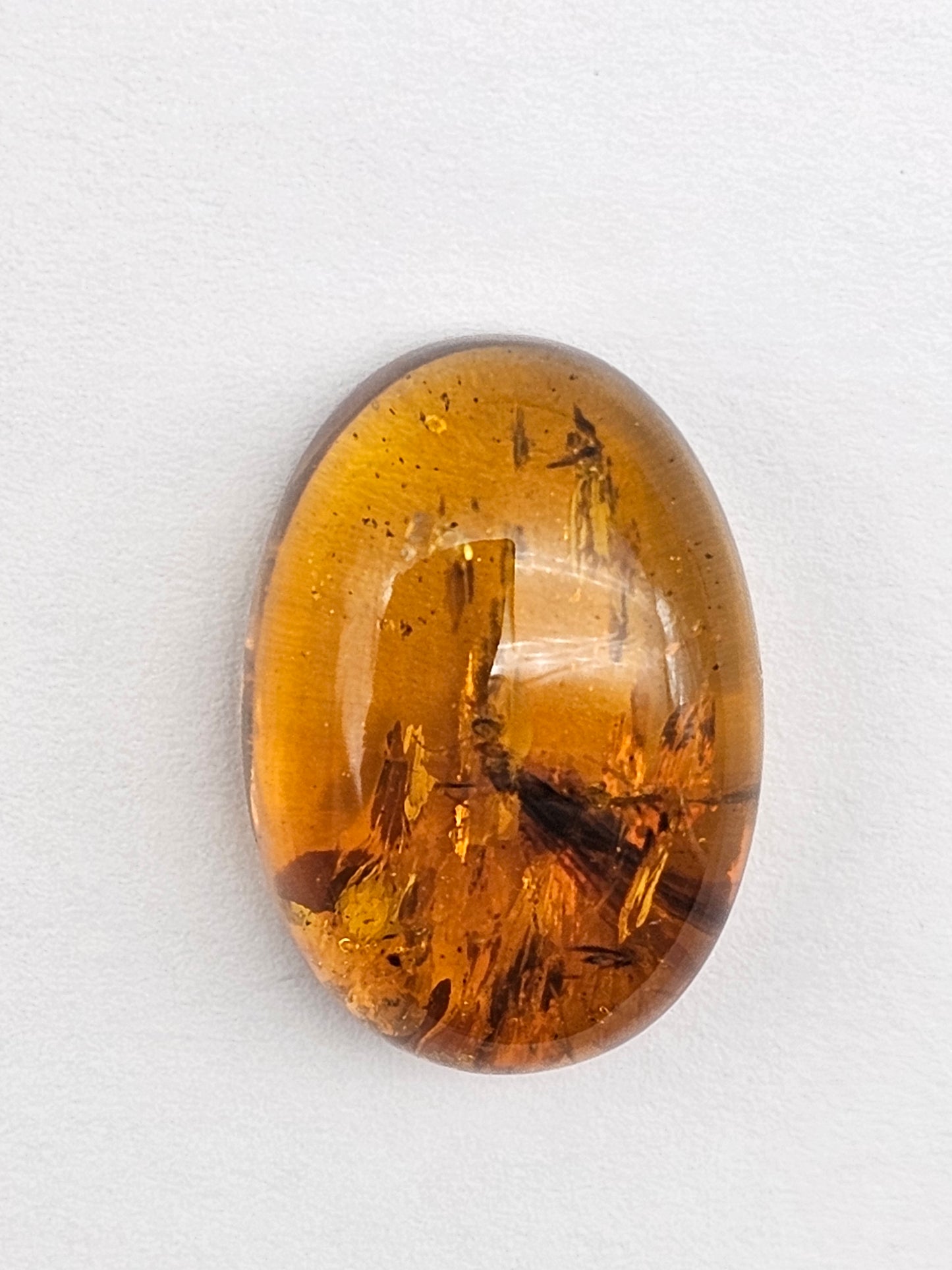 Real amber with insect inclusion