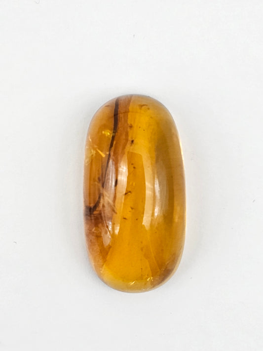 Real amber with insect inclusion