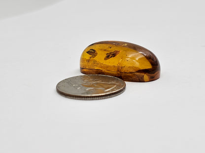 Real amber with insect inclusion