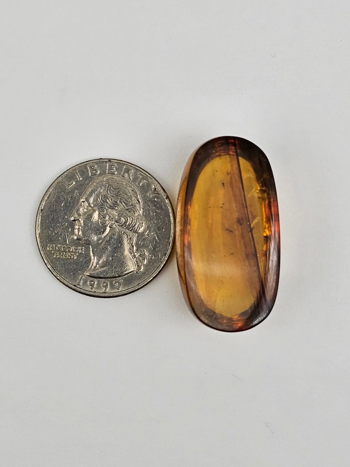Real amber with insect inclusion
