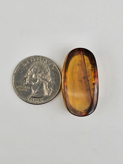 Real amber with insect inclusion