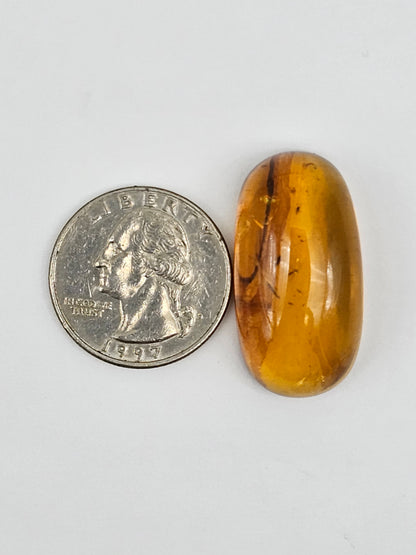 Real amber with insect inclusion