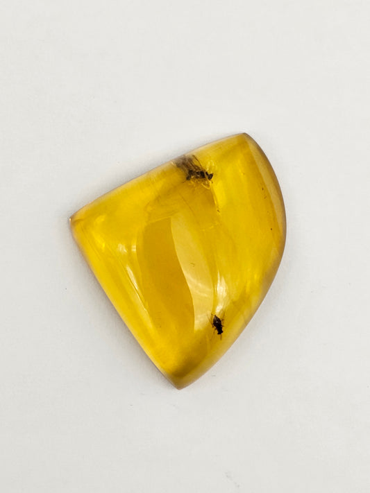 Real amber with insect inclusion