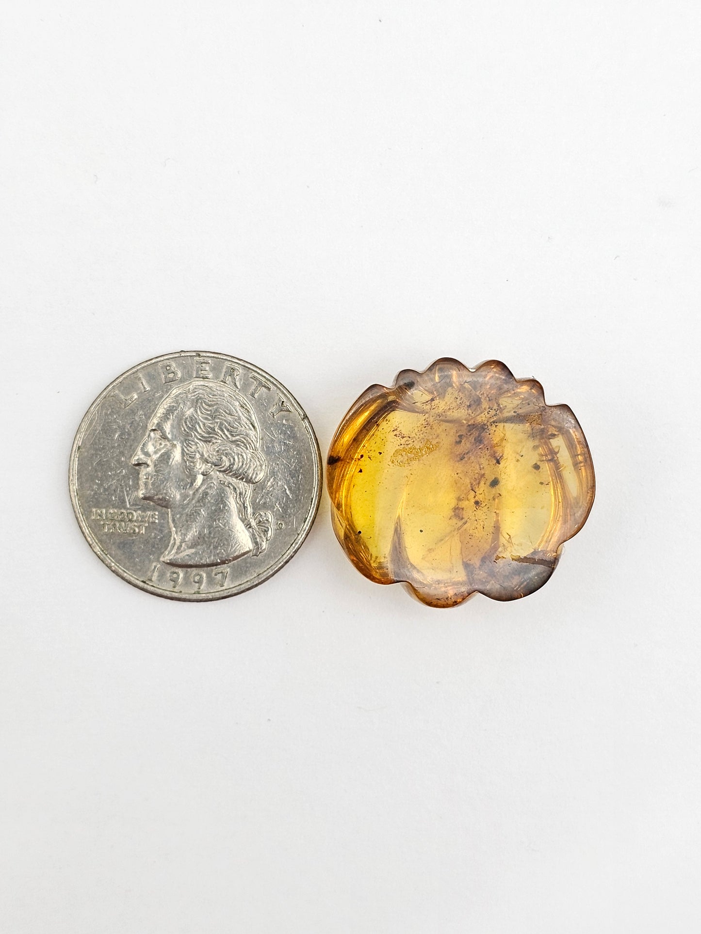 Real Amber Pumpkin with Insect Inclusion
