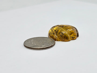 Real Amber Pumpkin with Insect Inclusion