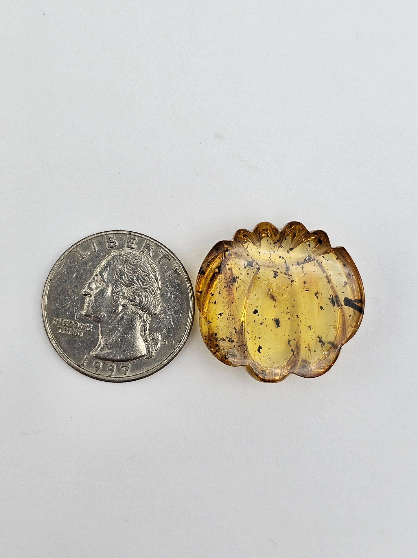 Real Amber Pumpkin with Insect Inclusion