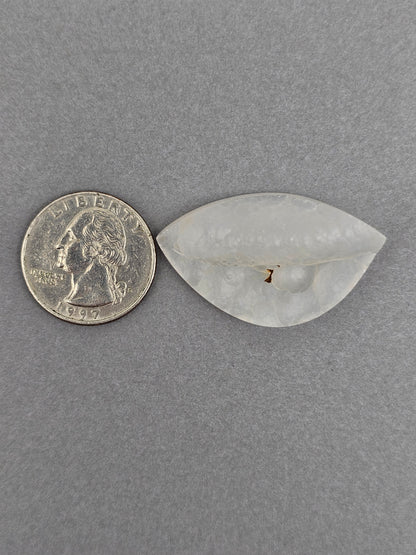 Botryoidal Chalcedony Agate Cabochon