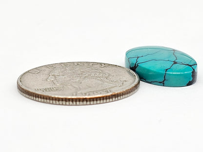 Cloud mountain Turquoise | Artisan Cut Gemstone