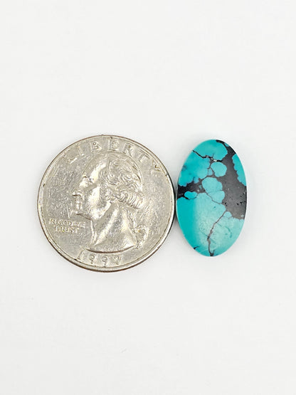 Cloud mountain Turquoise | Artisan Cut Gemstone