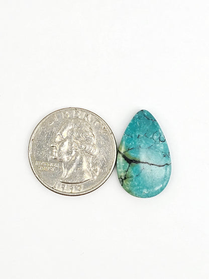 Cloud mountain Turquoise | Artisan Cut Gemstone