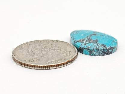 Cloud mountain Turquoise | Artisan Cut Gemstone
