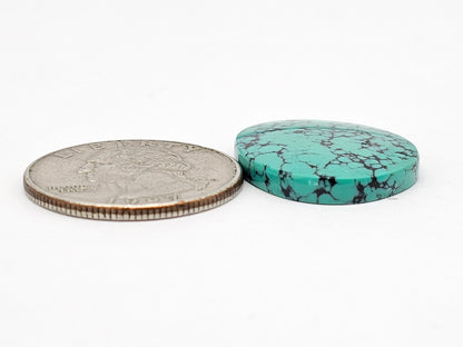 Cloud mountain Turquoise | Artisan Cut Gemstone
