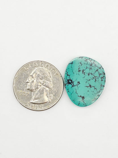 Cloud mountain Turquoise | Artisan Cut Gemstone