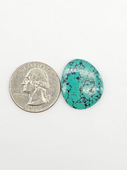 Cloud mountain Turquoise | Artisan Cut Gemstone