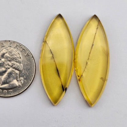 Amber authentic cabochon pair large