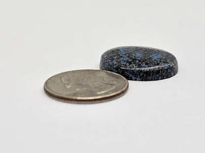 Rare Mexican Leopard Opal Cabochon