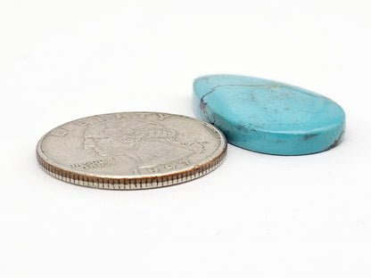 Cloud mountain Turquoise | Artisan Cut Gemstone