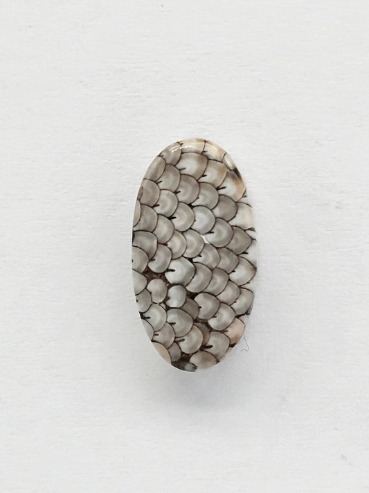Snake skin agate cabochon