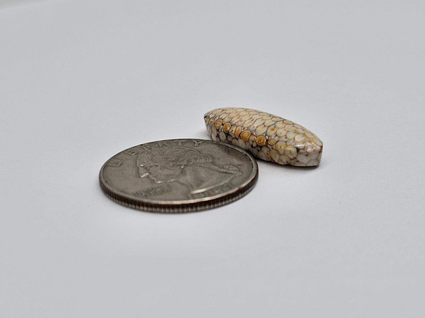 Snake skin agate cabochon