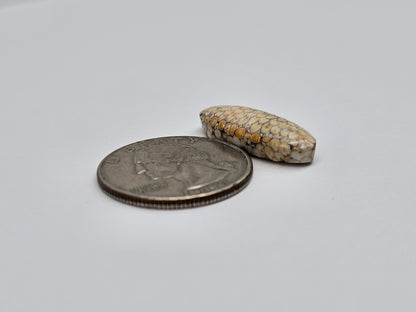 Snake skin agate cabochon