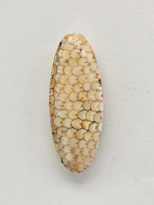 Snake skin agate cabochon