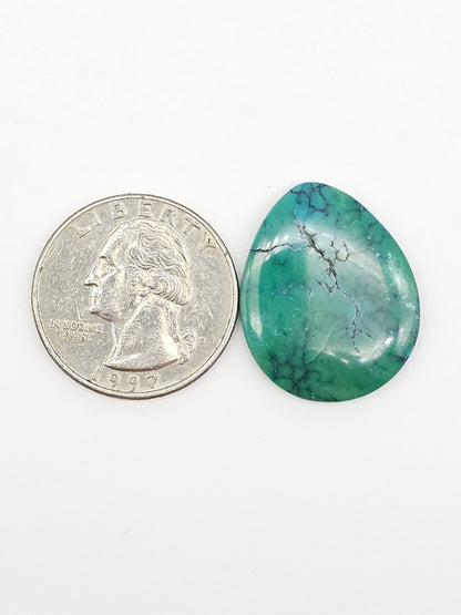Cloud mountain Turquoise | Artisan Cut Gemstone