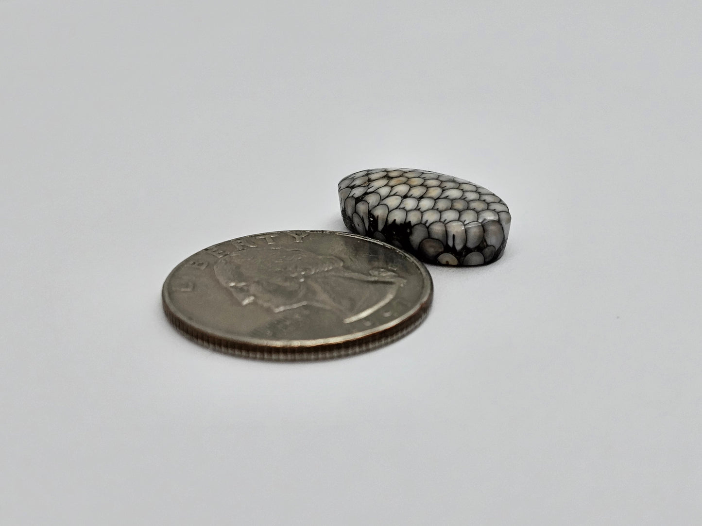 Snake skin agate cabochon